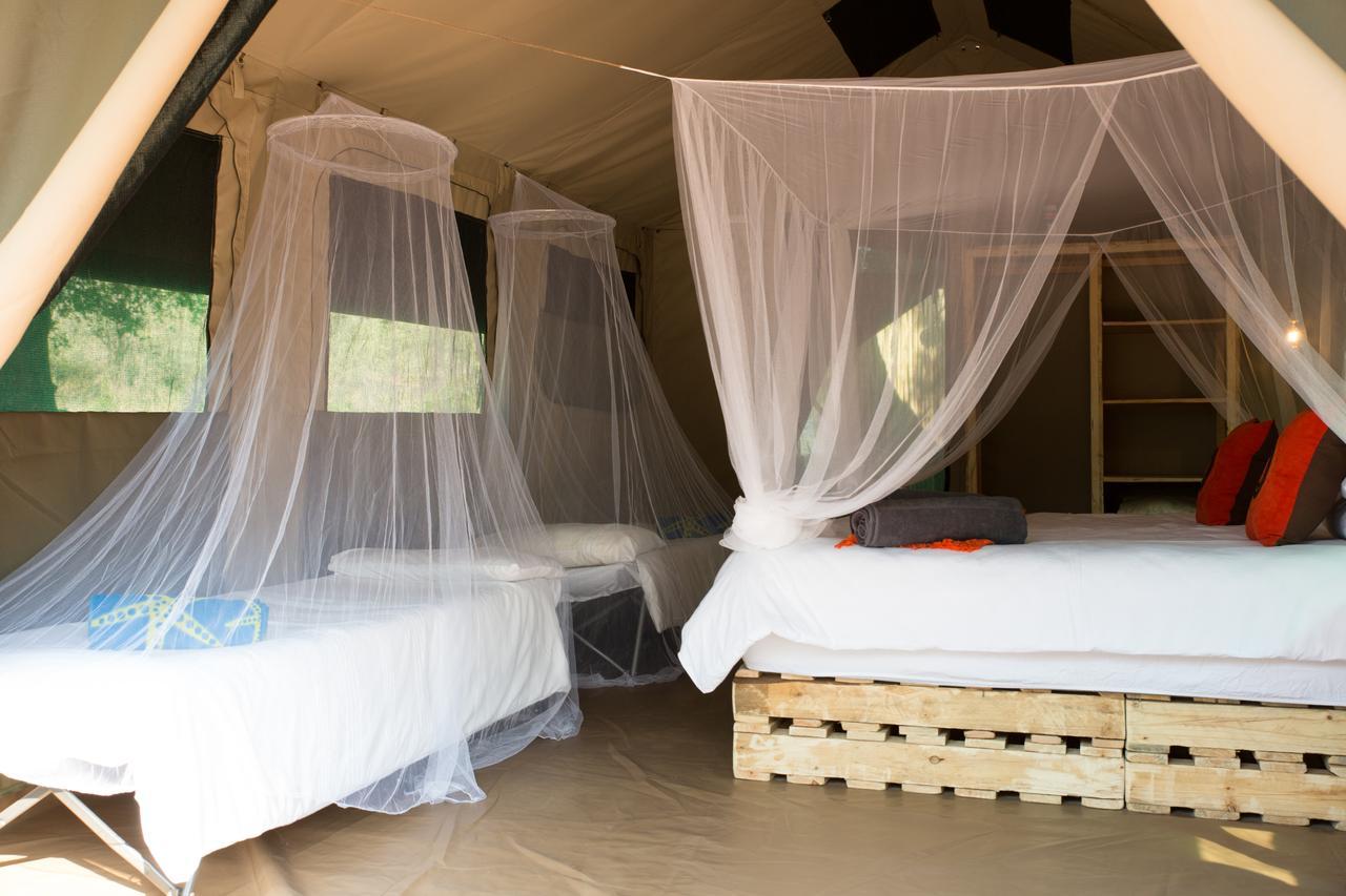 Southern Sands Eco Lodge Hoedspruit Dış mekan fotoğraf