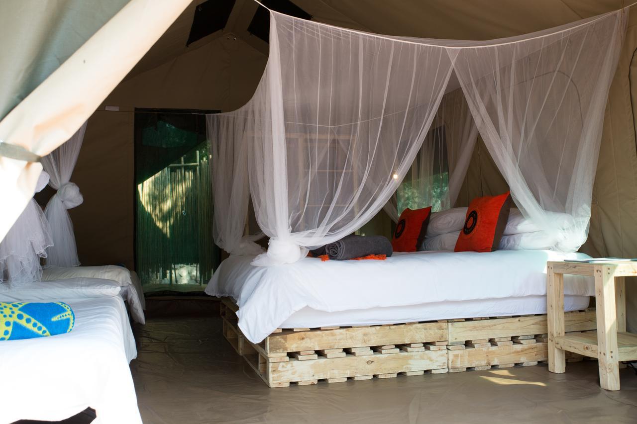 Southern Sands Eco Lodge Hoedspruit Dış mekan fotoğraf